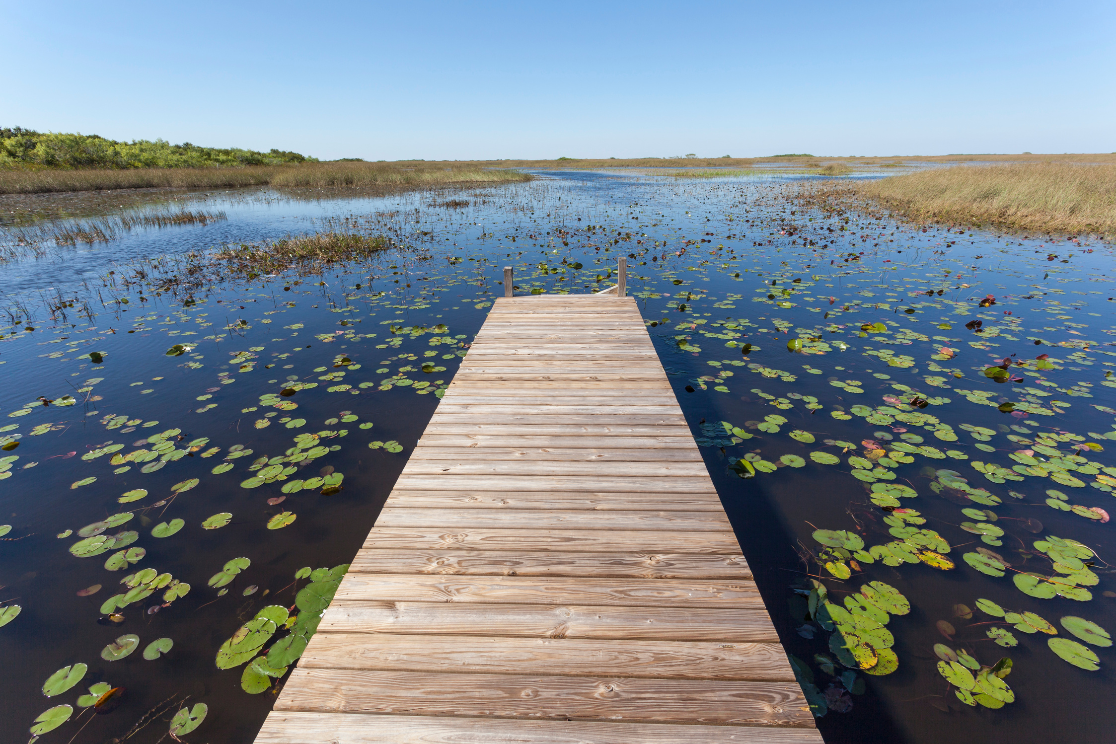 Everglades National Park, Florida