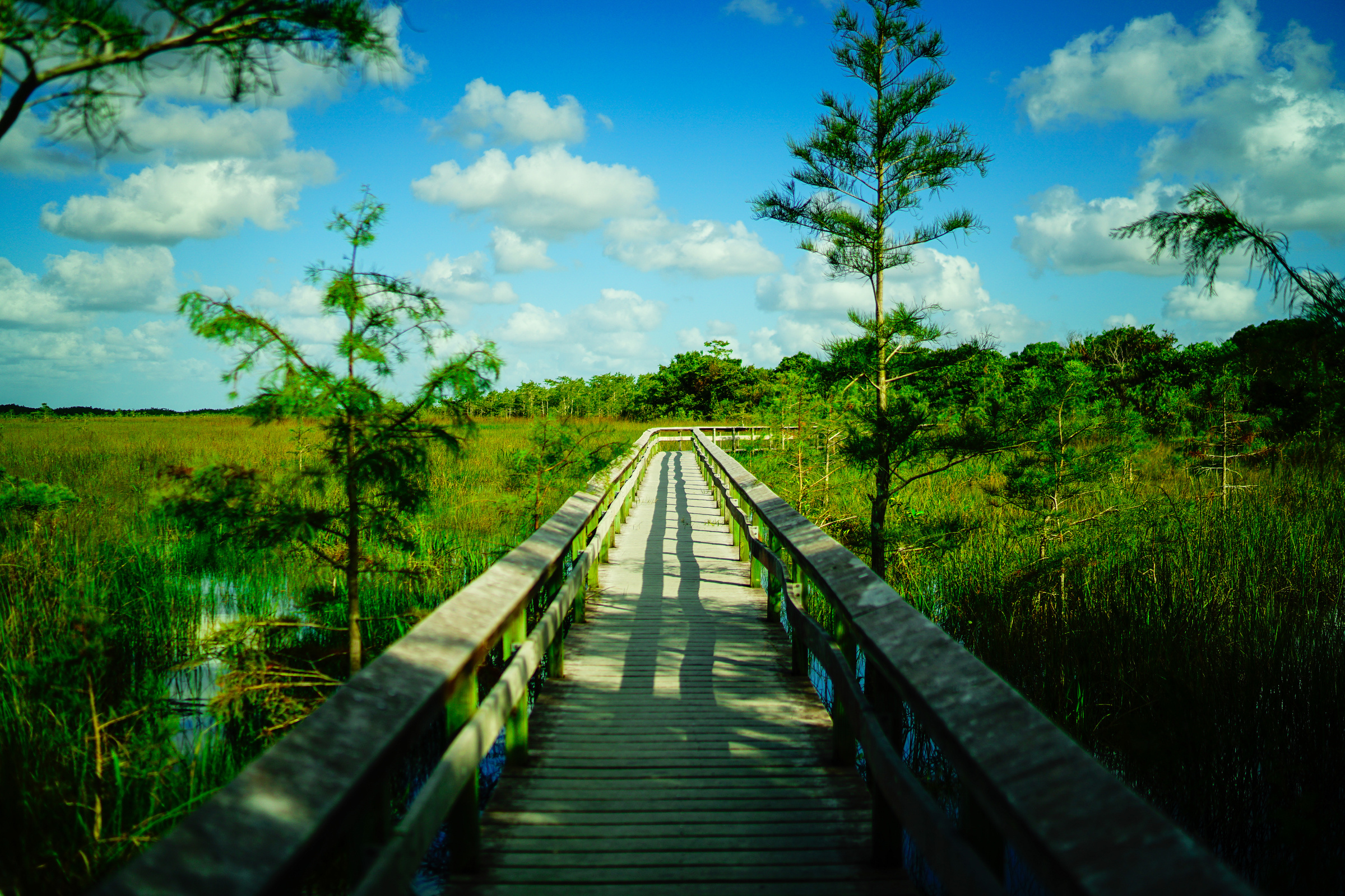 Everglades National Park