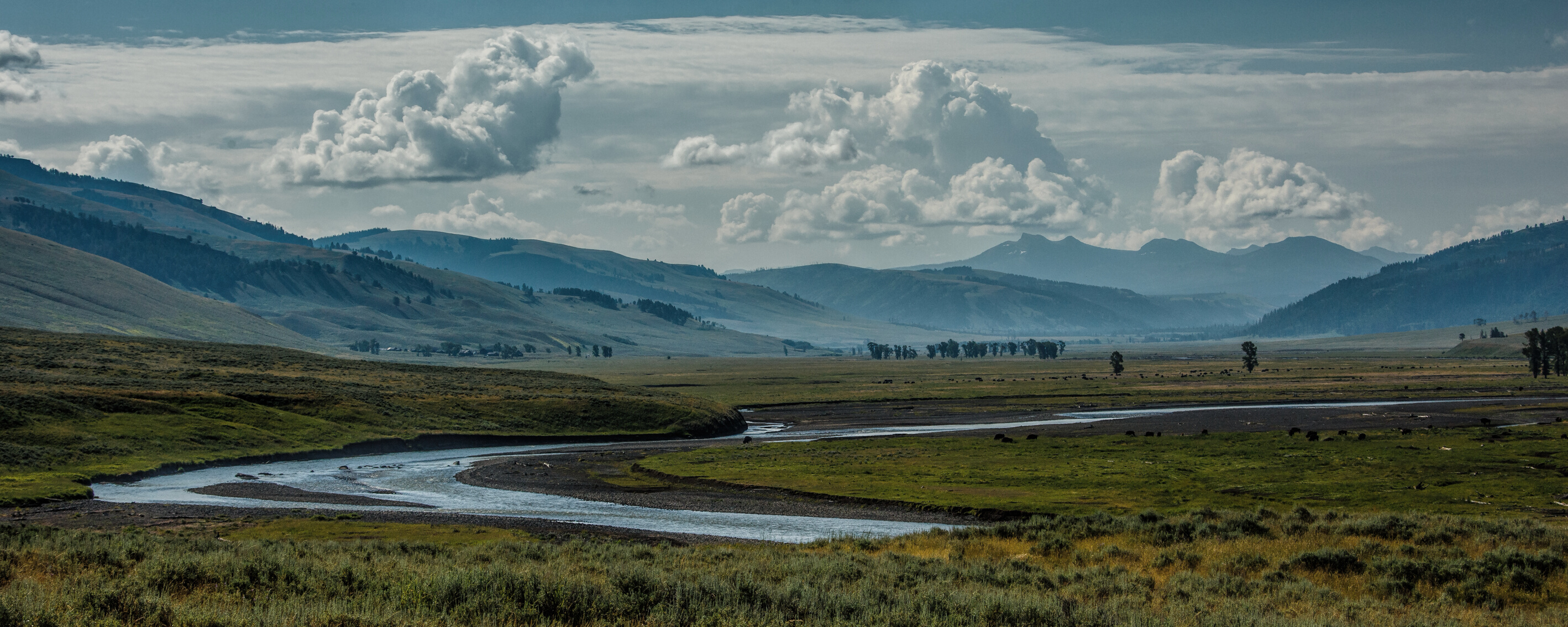 Yellowstone 2015