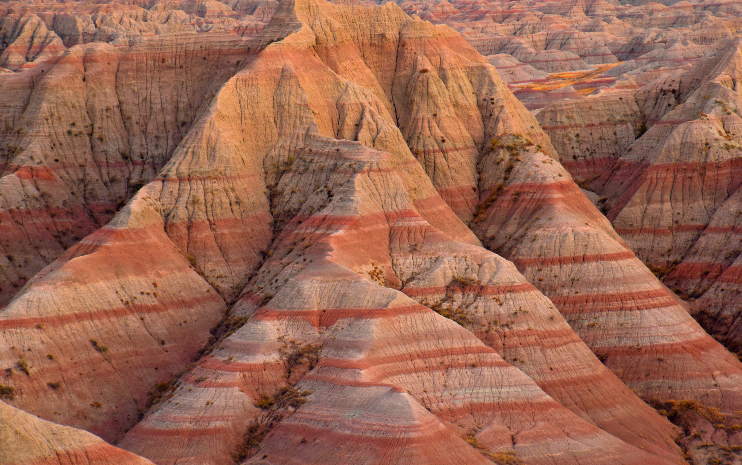 Ancient Badlands
