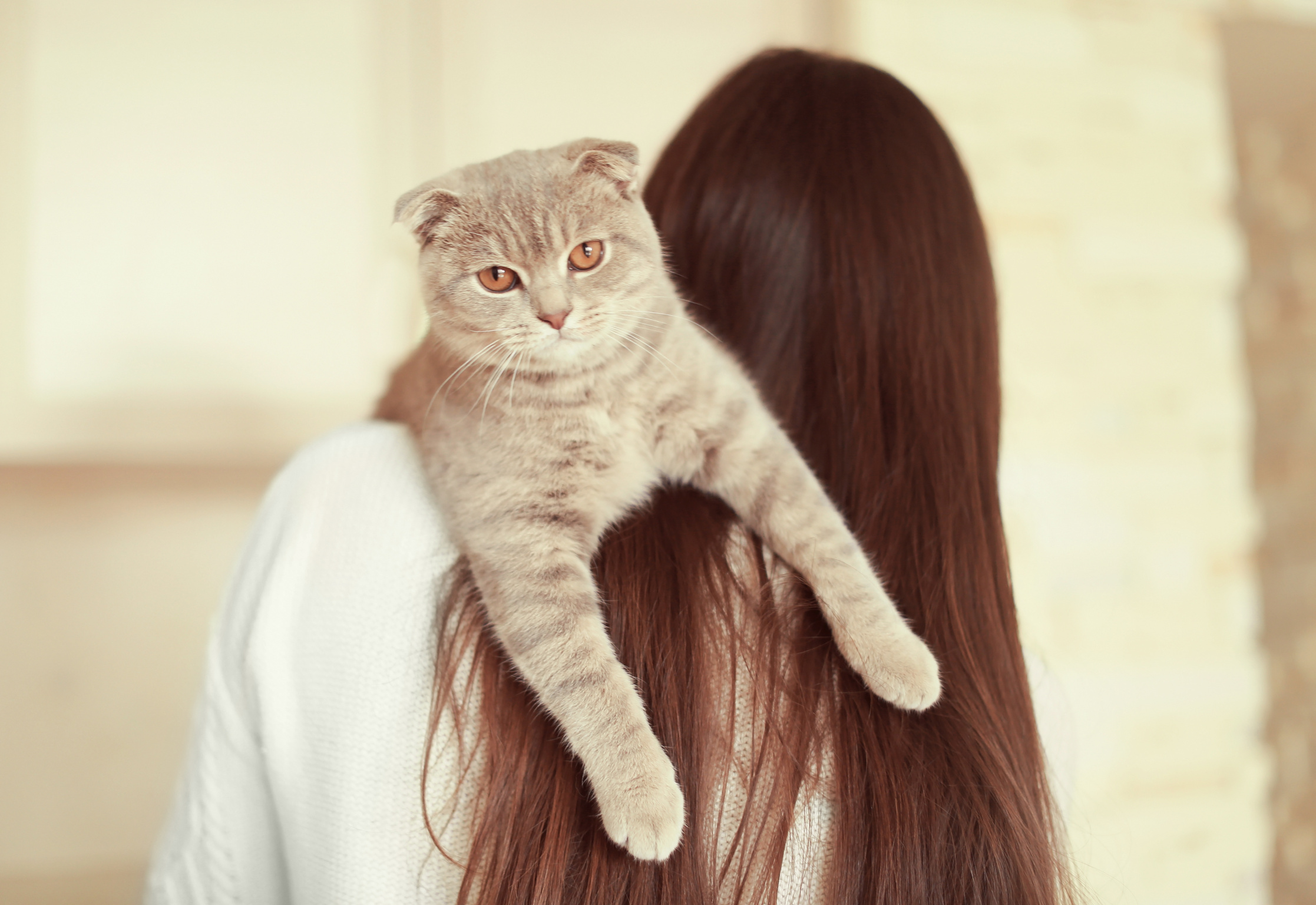 Person with Cat Resting at Home